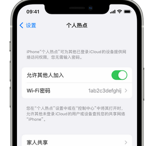 净潭乡apple服务站点分享iPhone上个人热点丢失了怎么办 