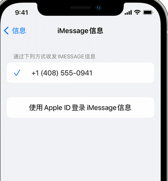 净潭乡apple维修iPhone上无法正常发送iMessage信息 