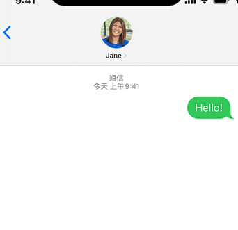 净潭乡apple维修iPhone上无法正常发送iMessage信息