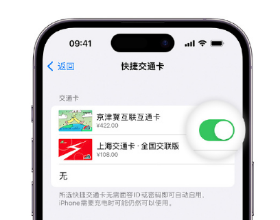 净潭乡apple维修点分享iPhone上更换Apple Pay快捷交通卡手绘卡面 