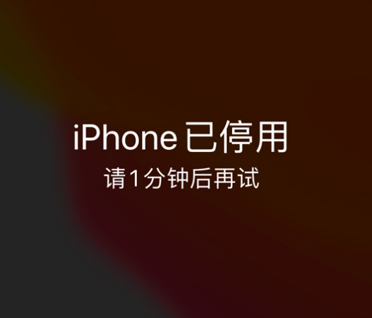 净潭乡苹果手机维修分享:iPhone 显示“不可用”或“已停用”怎么办？还能保留数据吗？ 