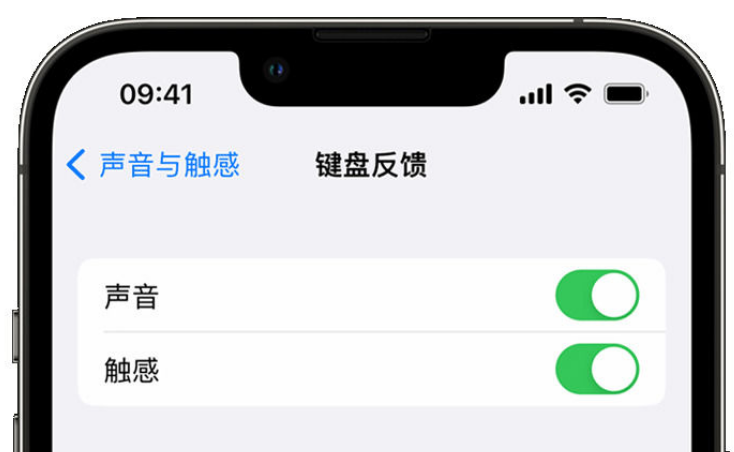 净潭乡苹果手机维修分享iPhone 14触感键盘使用方法 