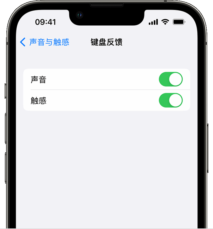 净潭乡苹果14维修店分享如何在 iPhone 14 机型中使用触感键盘 