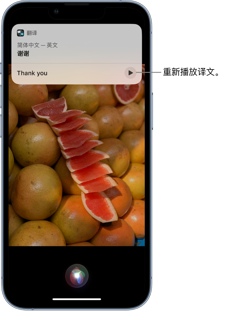 净潭乡苹果14维修分享 iPhone 14 机型中使用 Siri：了解 Siri 能帮你做什么 