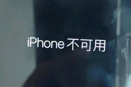 净潭乡苹果服务网点分享锁屏界面显示“iPhone 不可用”如何解决 