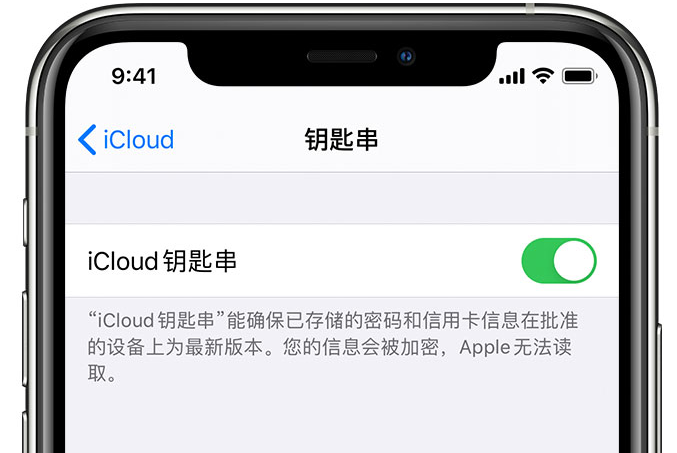 净潭乡苹果手机维修分享在 iPhone 上开启 iCloud 钥匙串之后会储存哪些信息 