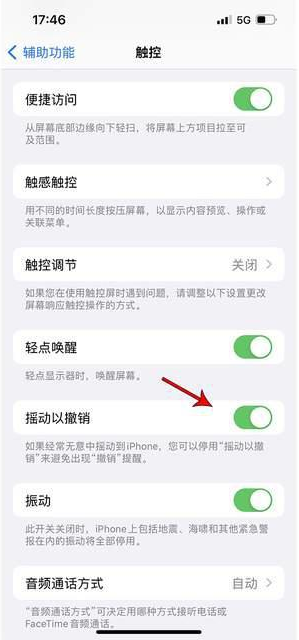 净潭乡苹果手机维修分享iPhone手机如何设置摇一摇删除文字 